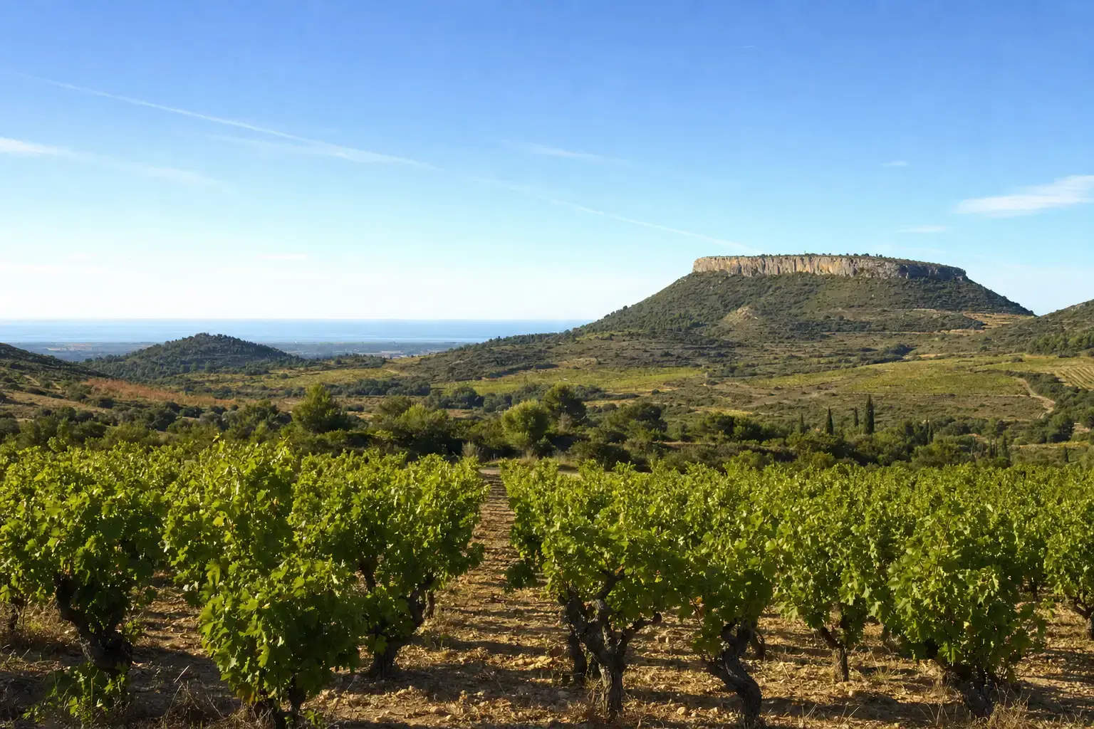 Autour de Leucate: garrigue, vignobles et escapades dans les Corbières